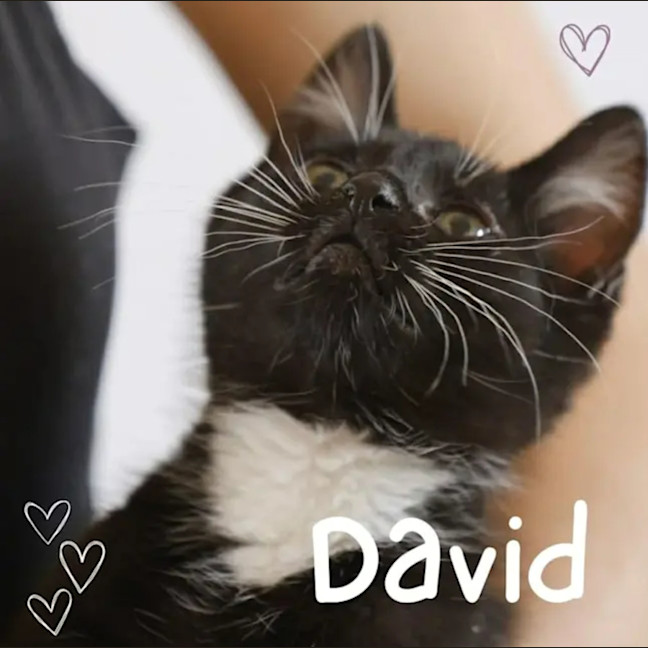 Photo of 🤍🖤David & Austin 🖤🤍