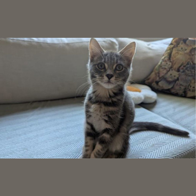 Photo of Disco