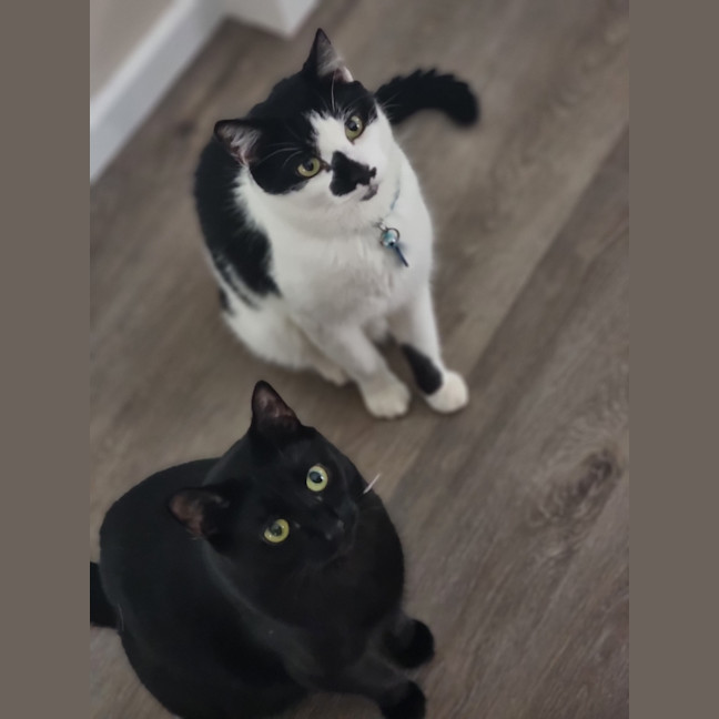 Photo of Panda   The Ultimate Mummies Boy