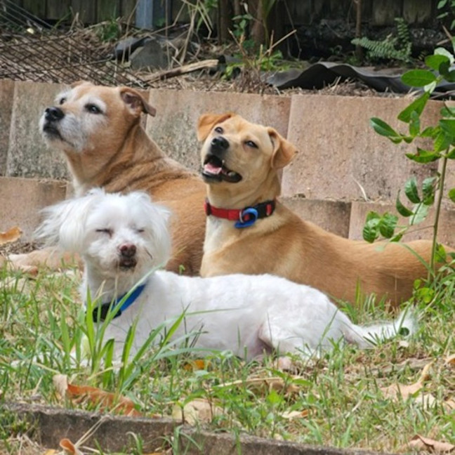 Photo of Tito