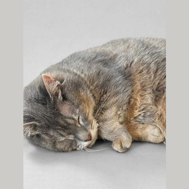 Photo of Maisy Moo