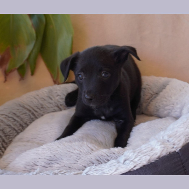 Photo of Zoe