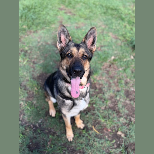 Photo of Coco