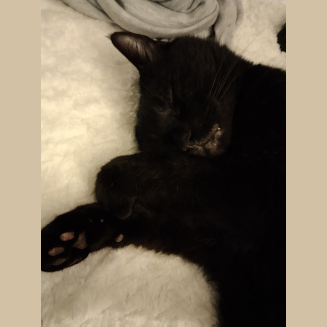 Photo of Bubby