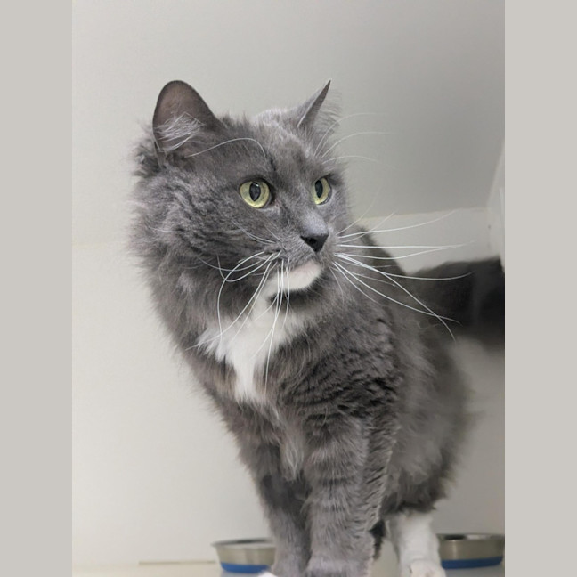 Photo of 💞 Pablo 6791 💞