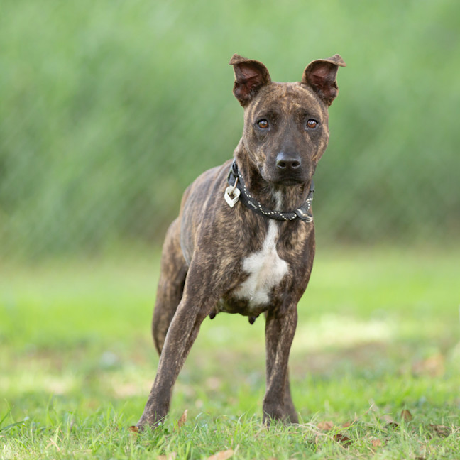 Photo of Moira