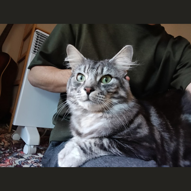 Photo of Gideon