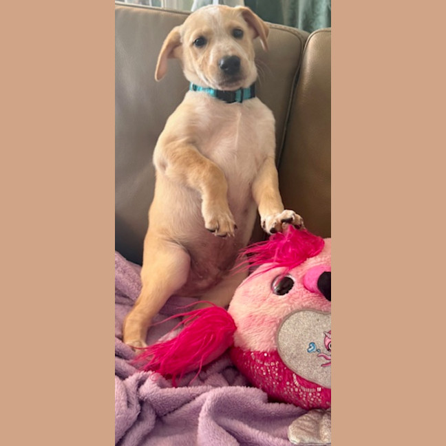 Photo of Donnie