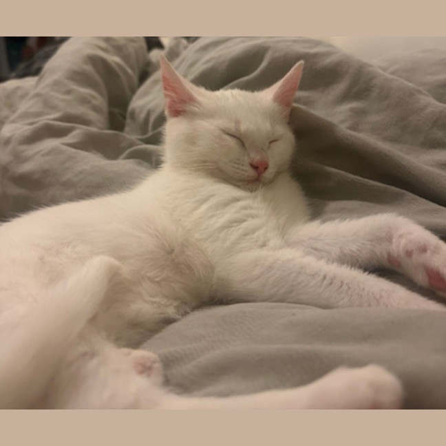 Photo of Mina