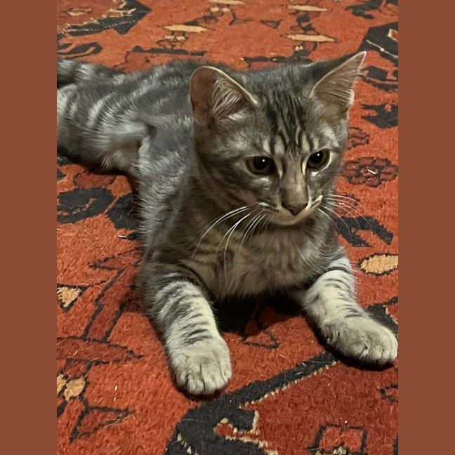 Photo of Ash