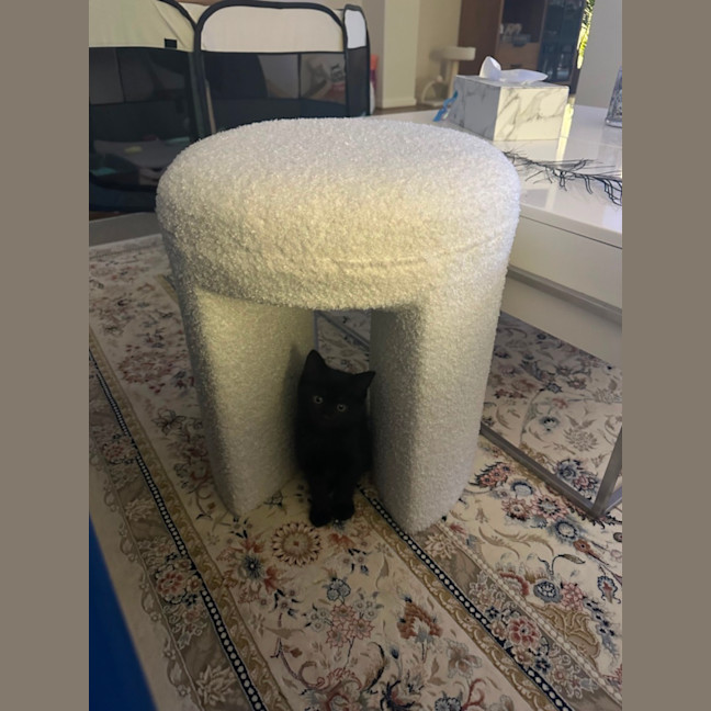 Photo of Junebug
