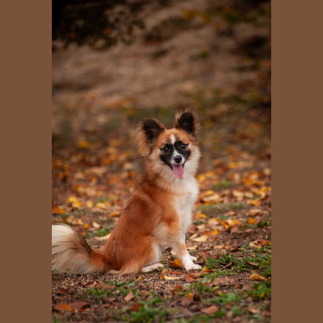 Photo of Arlo