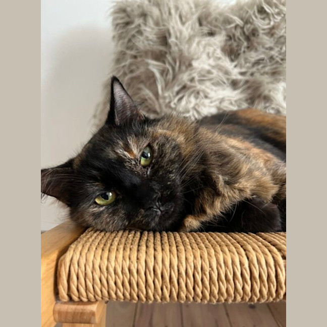 Photo of Mia