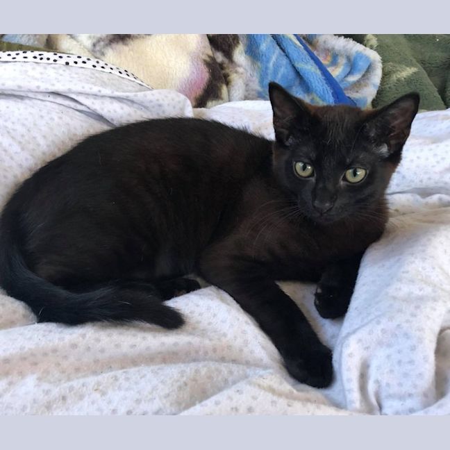 Photo of Cash And Yukon