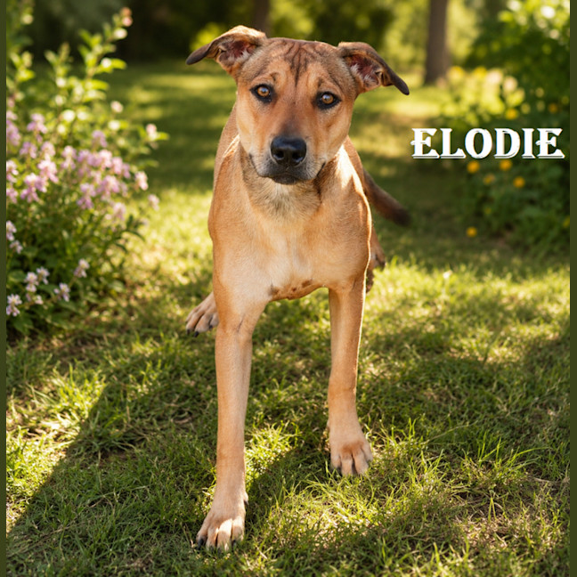 Photo of Elody