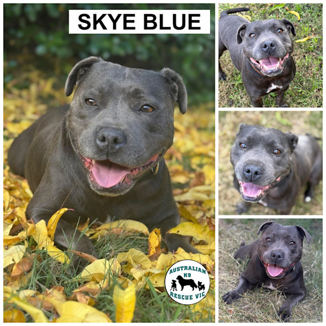 Photo of Skye Blue 