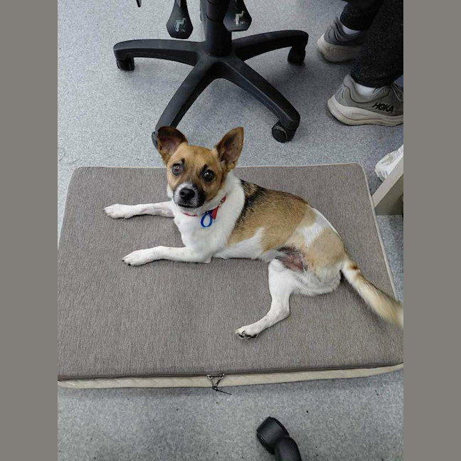Photo of Hugo