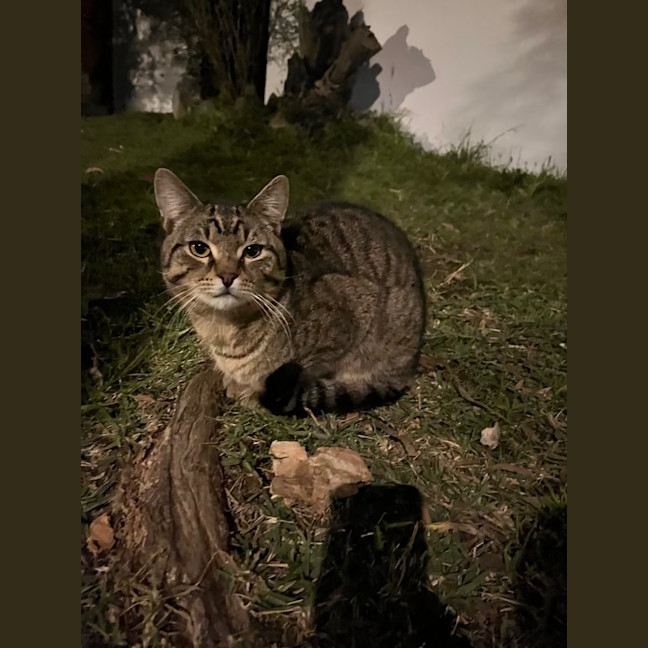 Photo of Test2