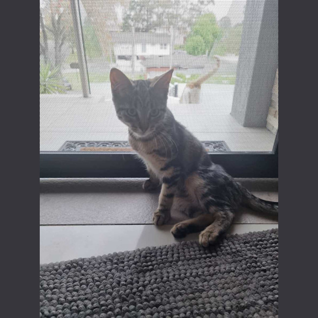 Photo of Axel And Aria