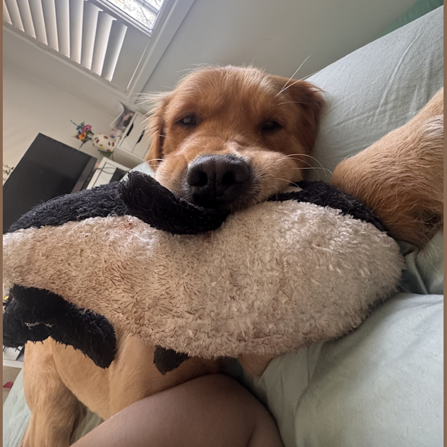 Photo of Oj