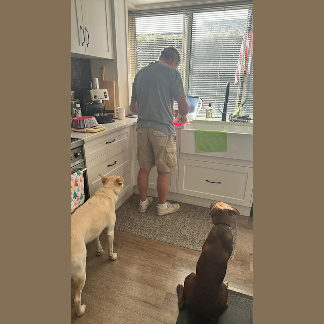 Photo of Gingerbread