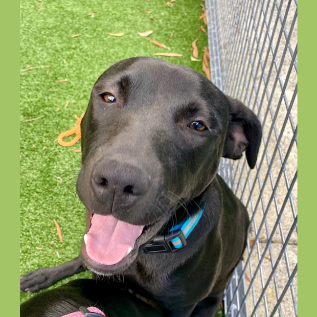 Photo of D1044 Marley