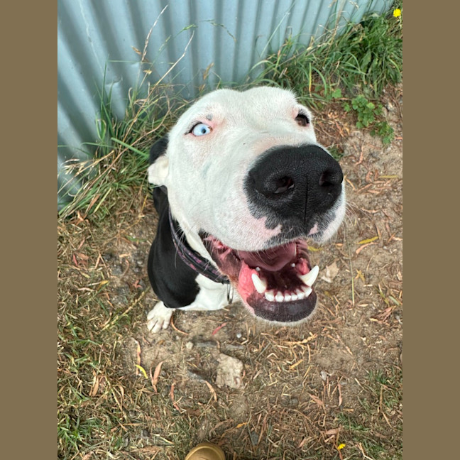 Photo of Spooky