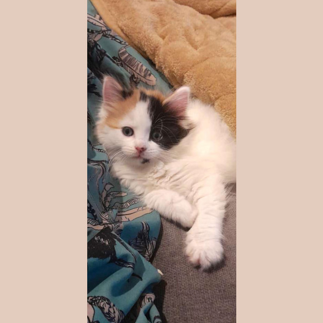 Photo of Bingo
