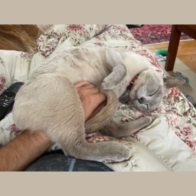 Photo of Mikki & Monty