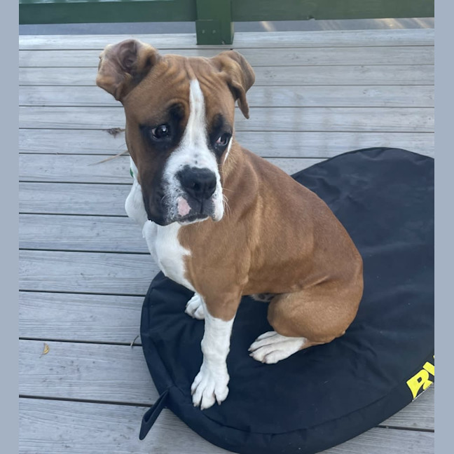 Photo of Russell Coight