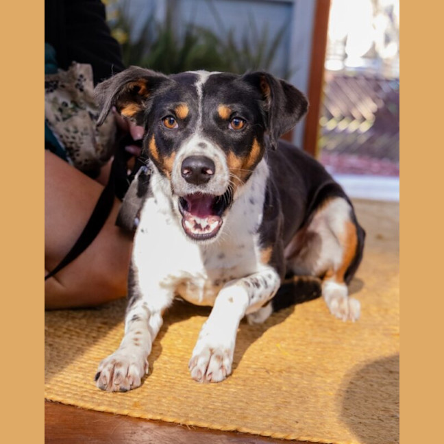 Photo of Eclair