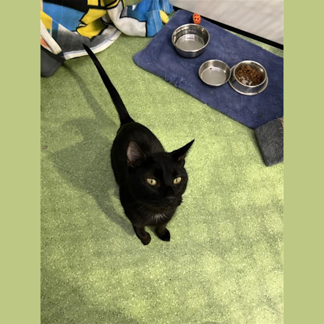 Photo of Mindy