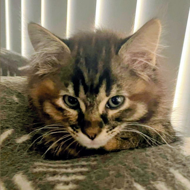 Photo of Mozee