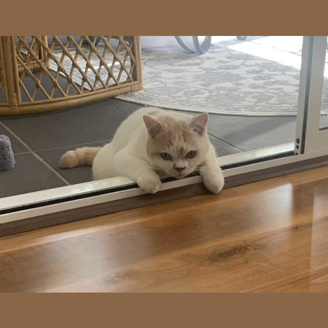Photo of Gary