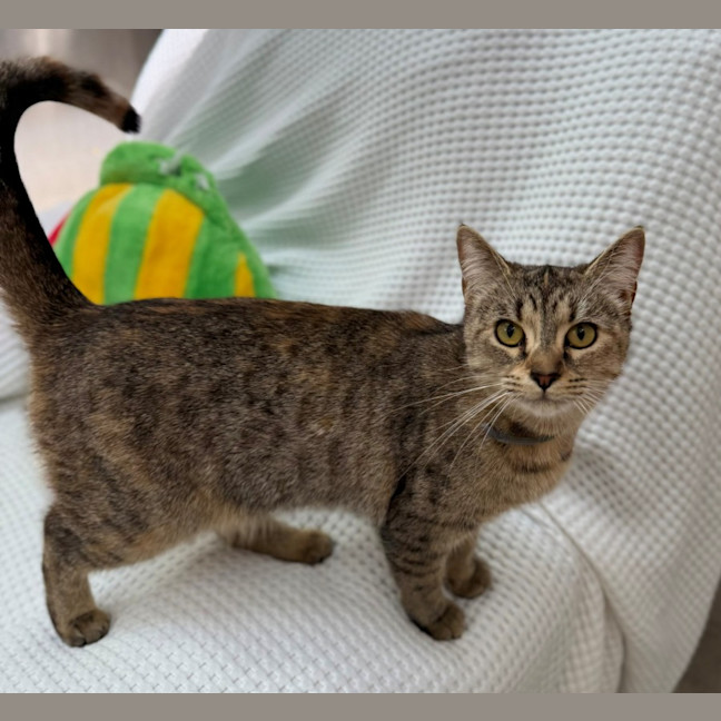 Photo of Sally Field (9004)