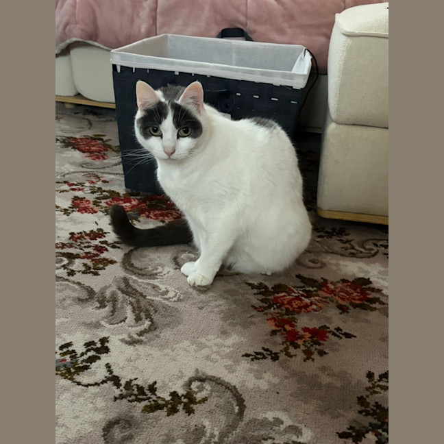 Photo of Kiki