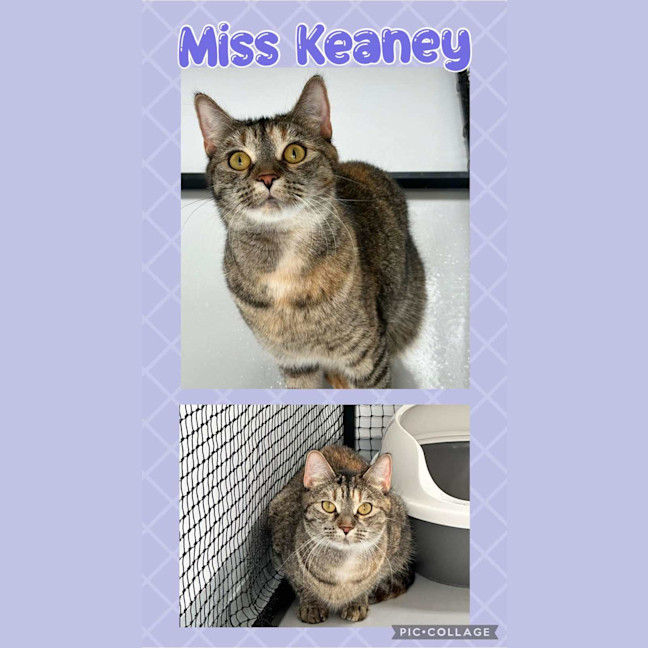 Photo of Miss Keaney 