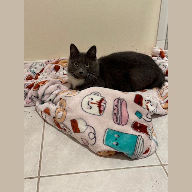 Photo of Xena