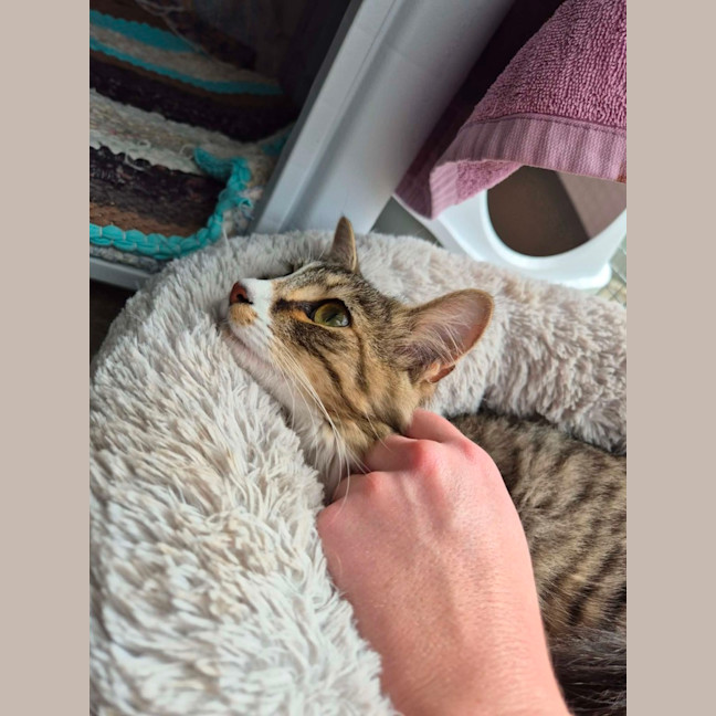 Photo of Bailey!  👑 