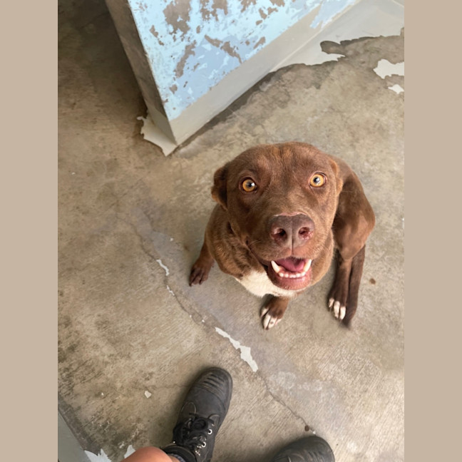 Photo of Wiggles