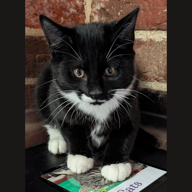Photo of Buster