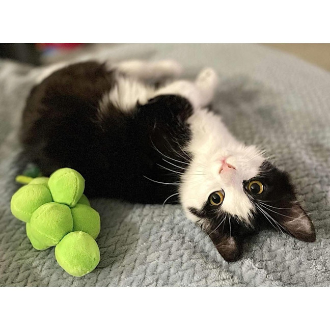 Photo of 12547   Storm