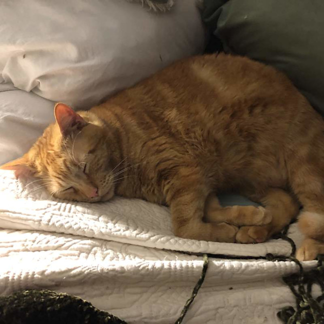 Photo of Bert