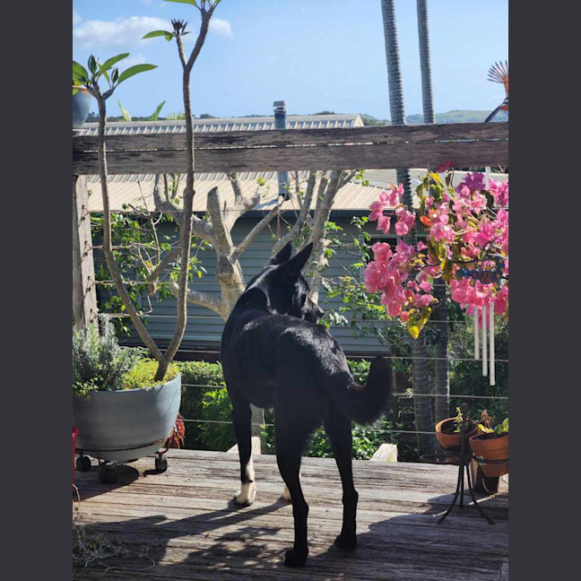 Photo of Billy