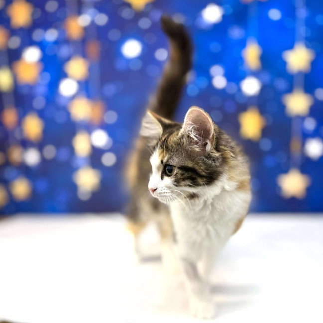 Photo of Florence   Located In Preston