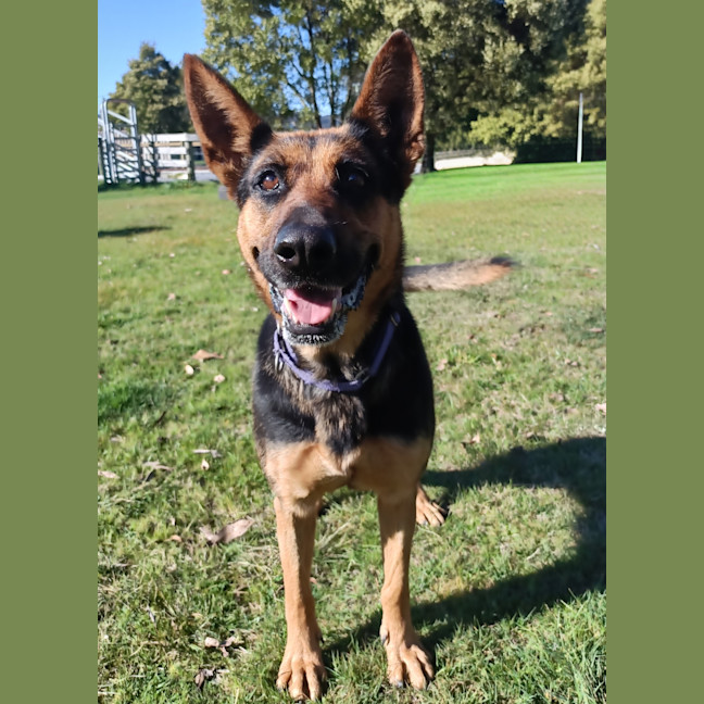 Photo of Luna