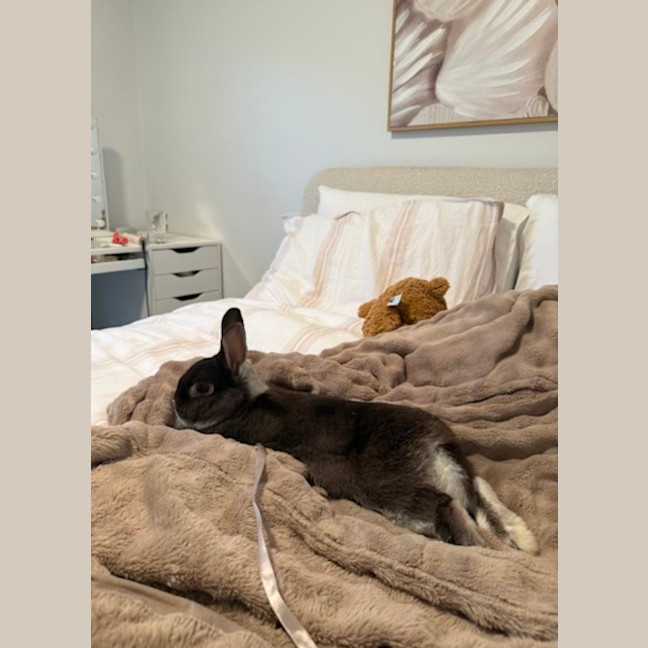 Photo of Bunbun And Lil Man