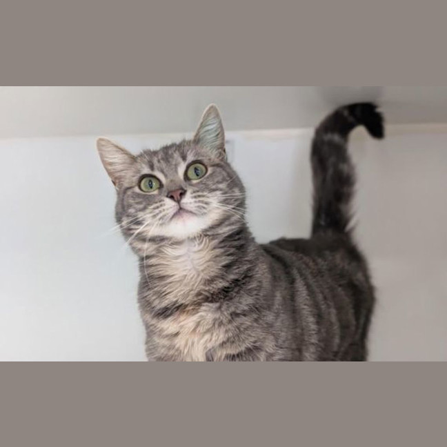 Photo of Maggie