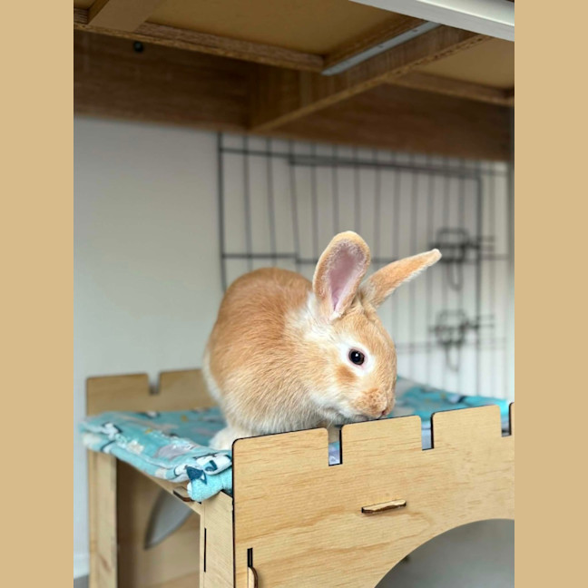 Photo of Jinny