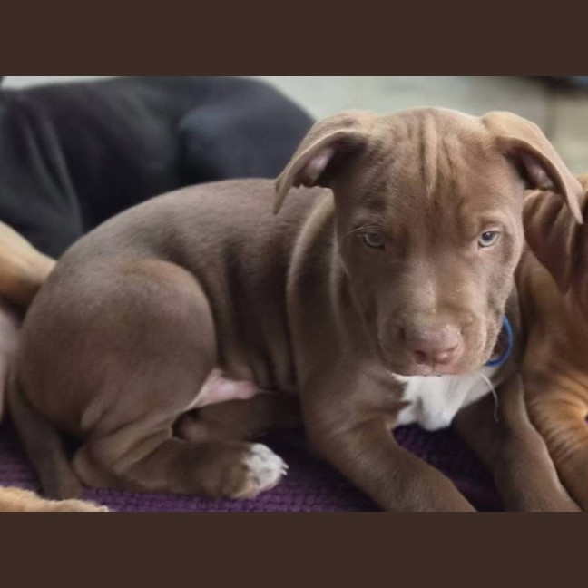 Photo of Slinky